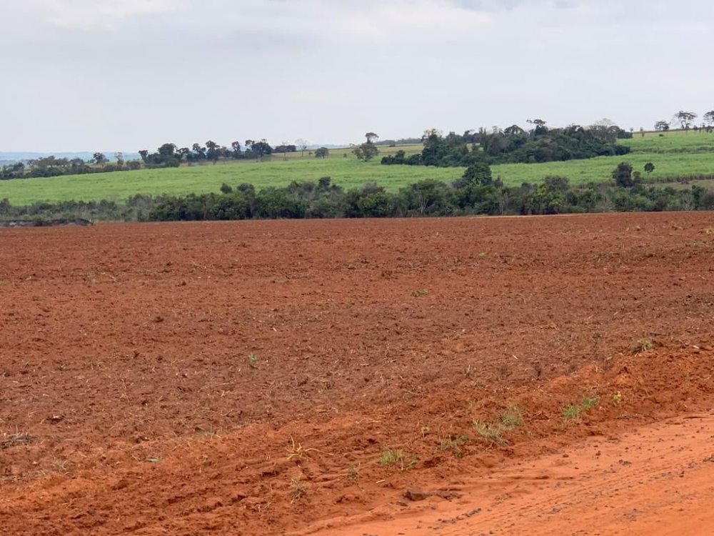 Fazenda à venda, 220m² - Foto 1