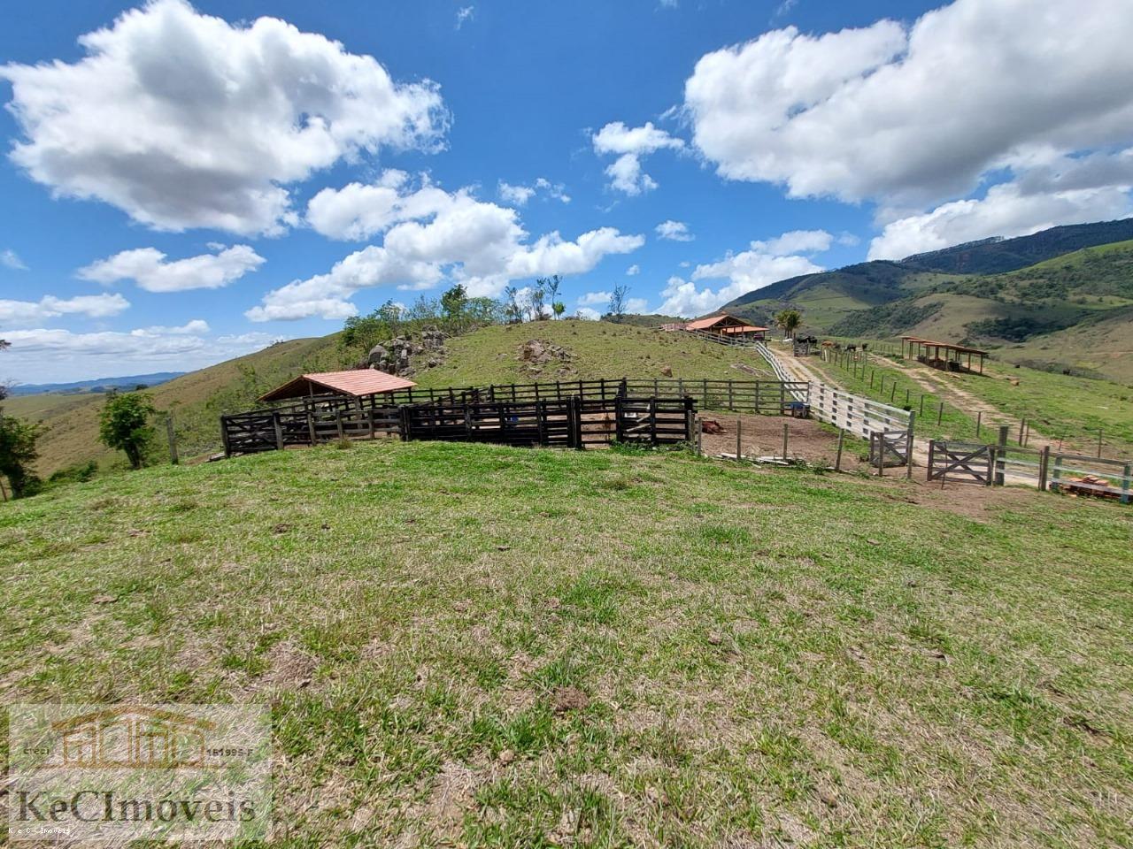 Fazenda à venda com 2 quartos, 300000m² - Foto 6