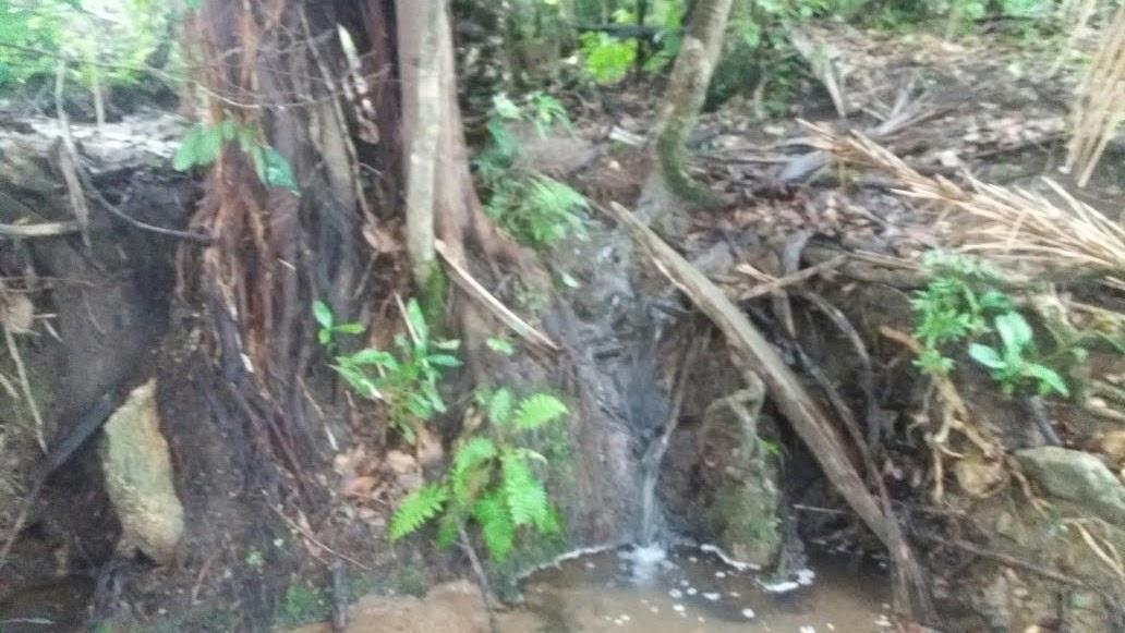 Fazenda à venda com 3 quartos - Foto 6