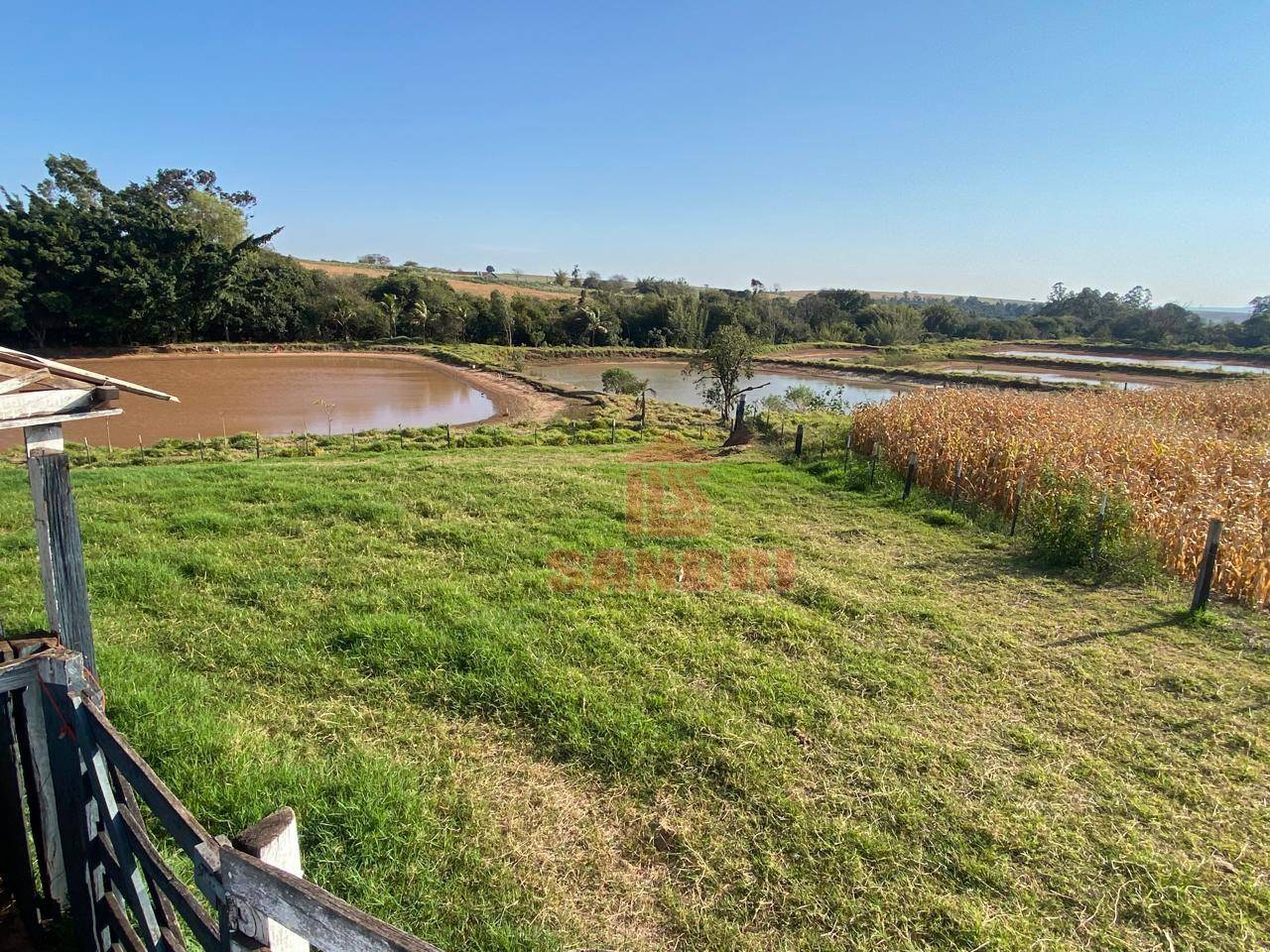 Sítio, 2 hectares - Foto 8