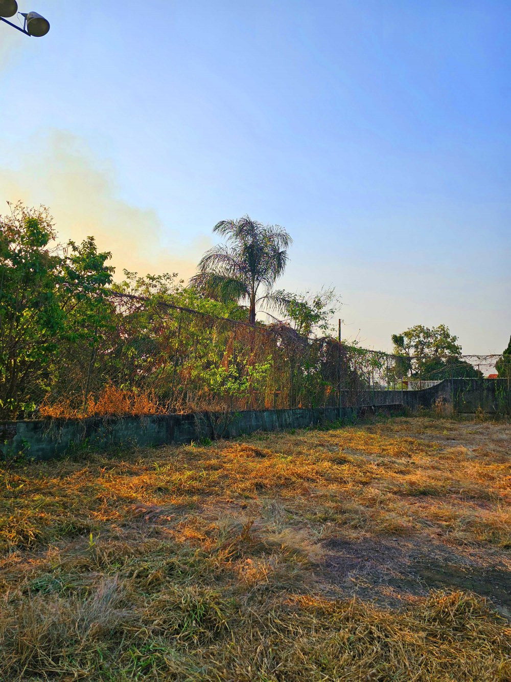 Terreno à venda, 1000m² - Foto 24