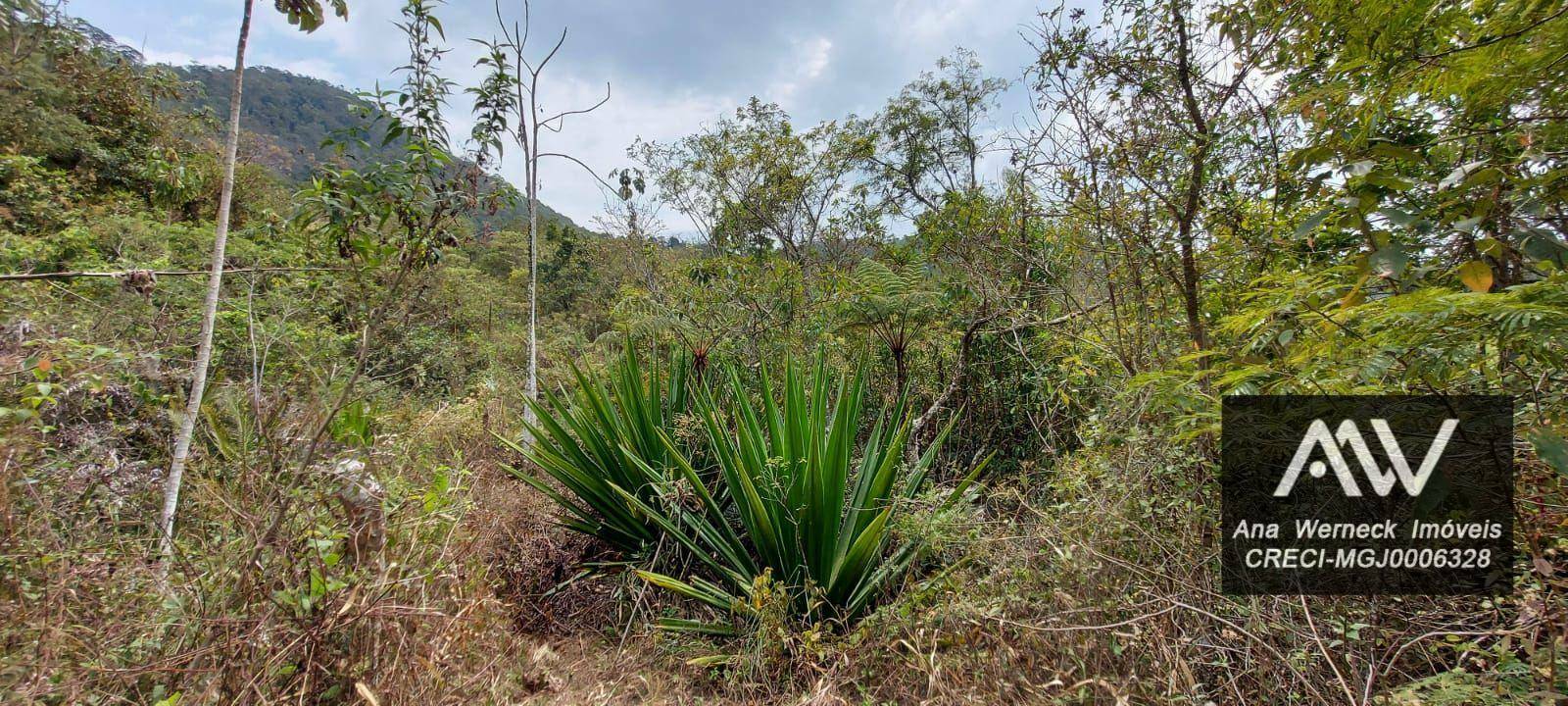 Sítio à venda com 1 quarto, 77500M2 - Foto 20