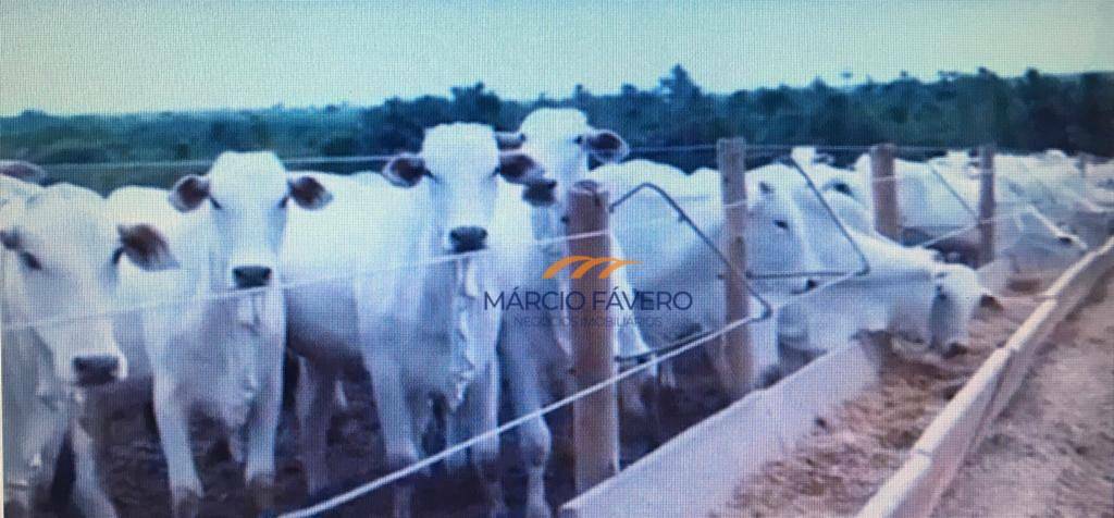 Fazenda à venda, 102800000M2 - Foto 3