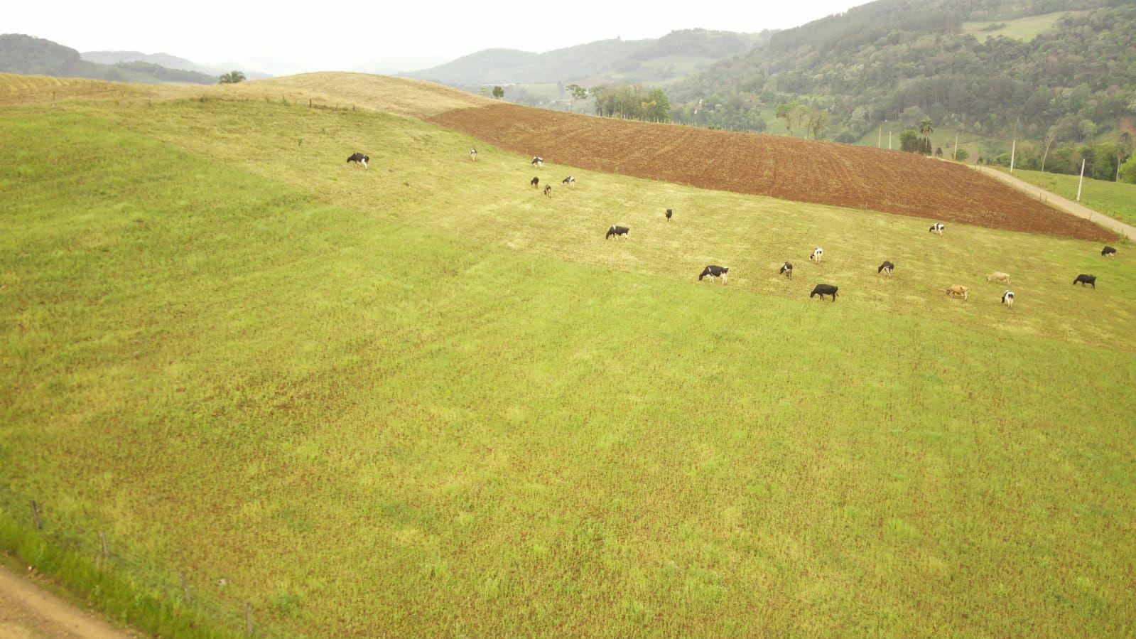 Loteamento e Condomínio à venda, 267000m² - Foto 20