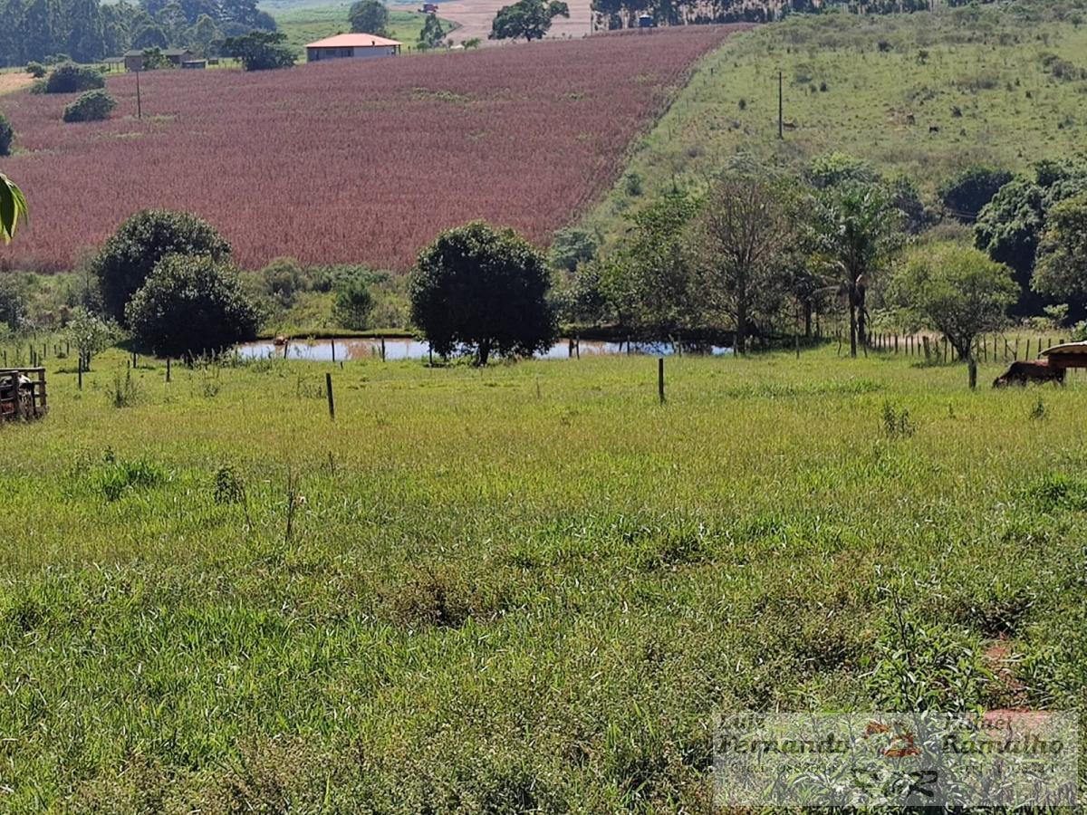 Fazenda à venda com 2 quartos, 20000m² - Foto 24