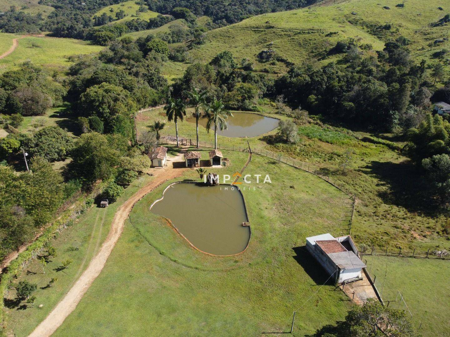 Fazenda à venda com 5 quartos, 450m² - Foto 79