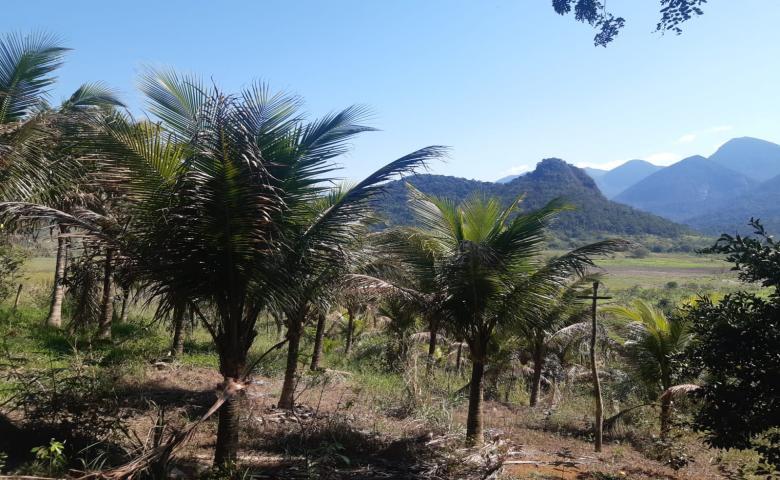 Fazenda à venda com 1 quarto, 100000m² - Foto 2