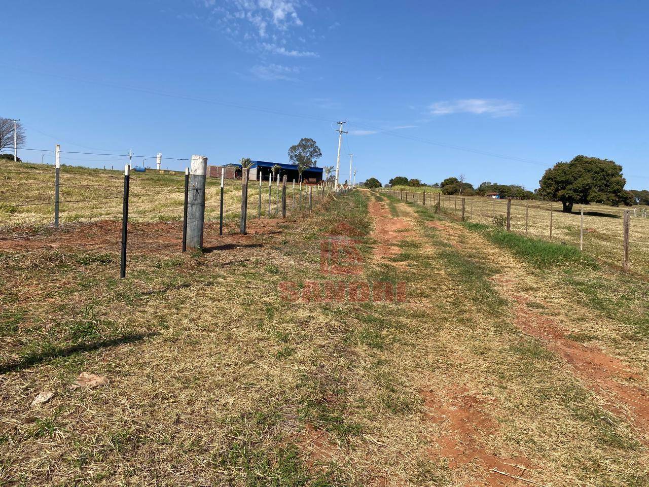 Sítio, 2 hectares - Foto 37