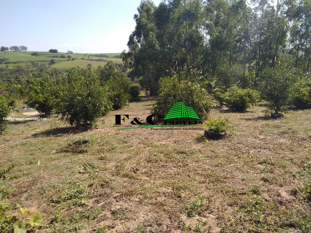 Fazenda à venda com 2 quartos, 40000m² - Foto 14