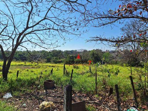 Terreno, 2 hectares - Foto 10