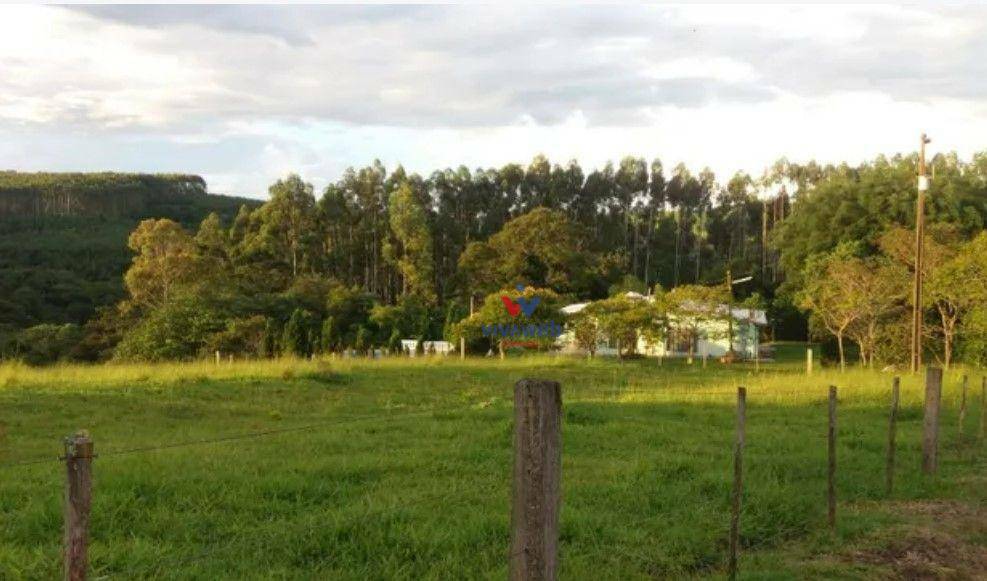 Fazenda à venda com 3 quartos, 1116000M2 - Foto 5