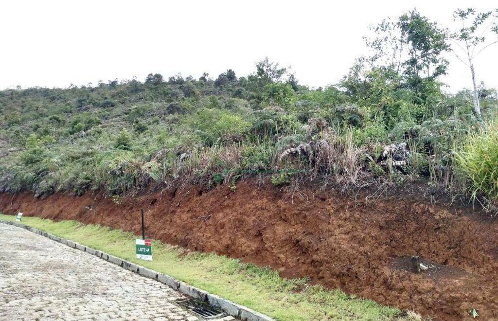 Loteamento e Condomínio à venda, 240M2 - Foto 3