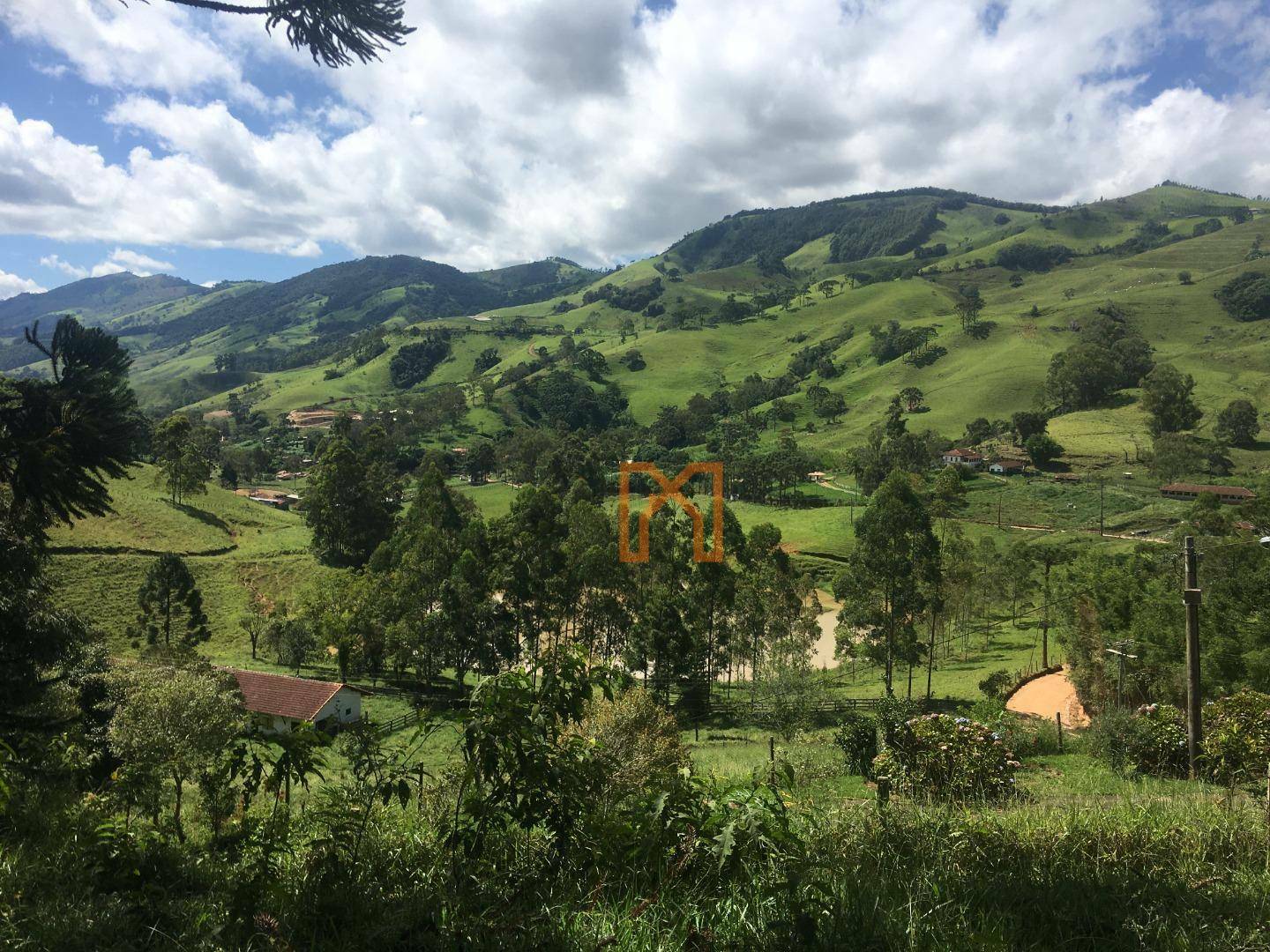 Fazenda à venda com 4 quartos, 3030000M2 - Foto 19