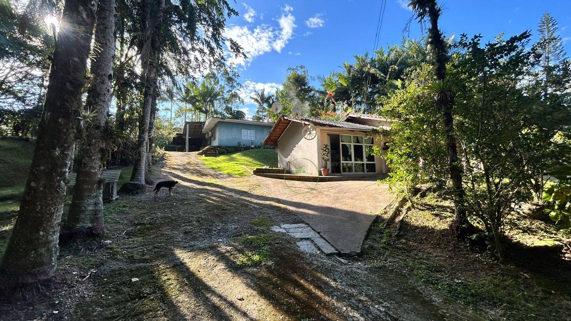 Sítio, 3 hectares - Foto 13