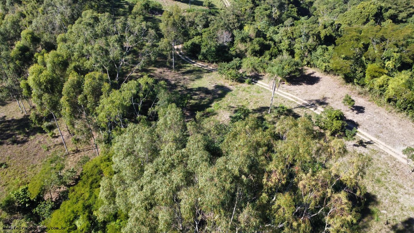 Terreno à venda, 2500m² - Foto 3