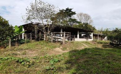 Fazenda à venda com 3 quartos, 110000m² - Foto 10