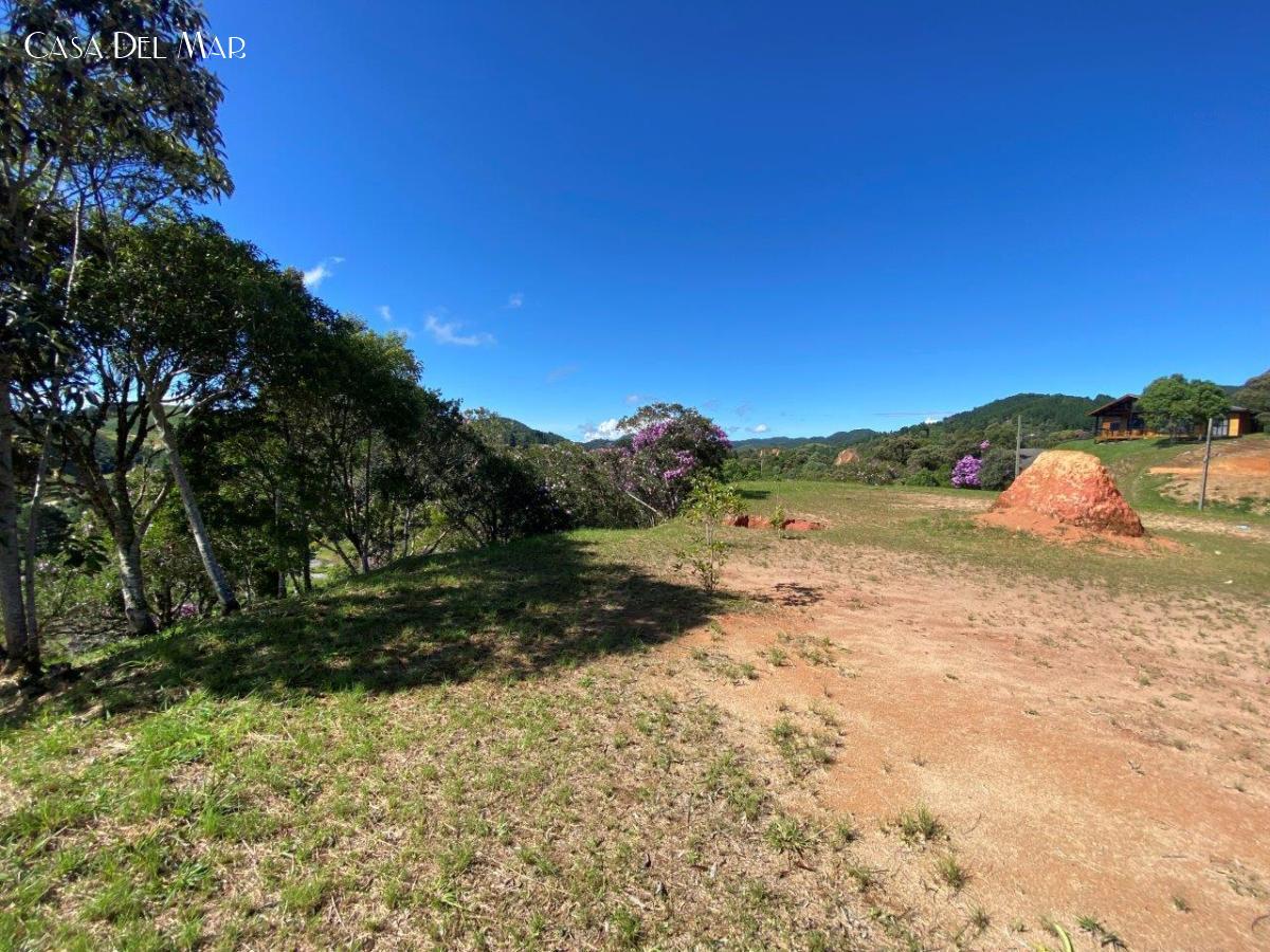 Terreno à venda, 1636m² - Foto 7