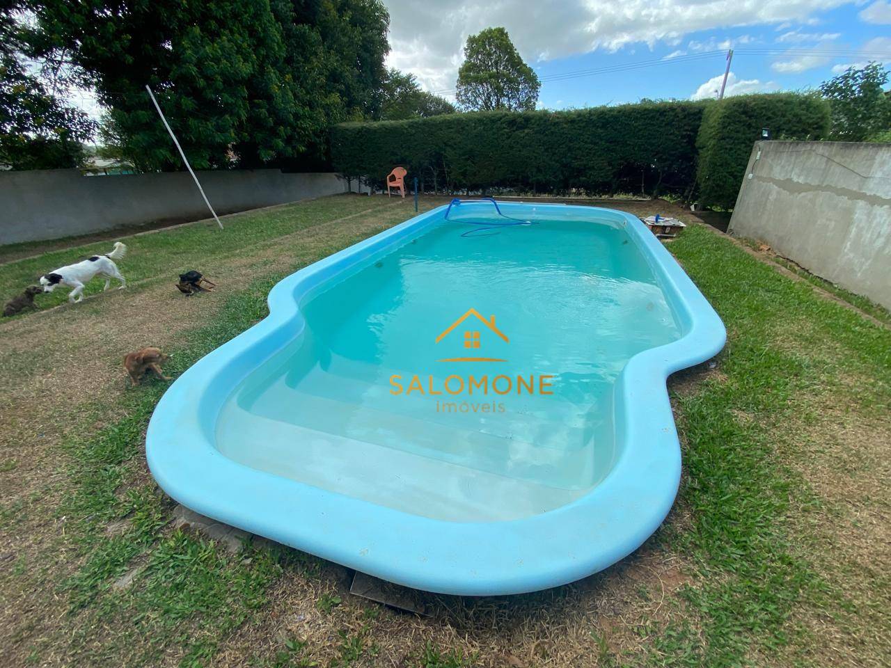 Sítio, 3 quartos, 1786 m² - Foto 4