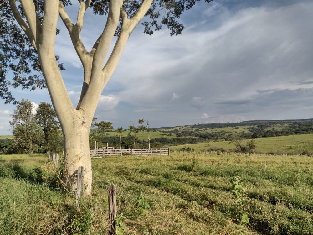 Fazenda à venda, 10m² - Foto 8