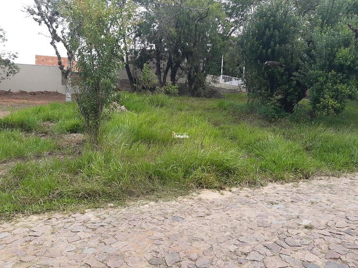 Terreno à venda, 301m² - Foto 1