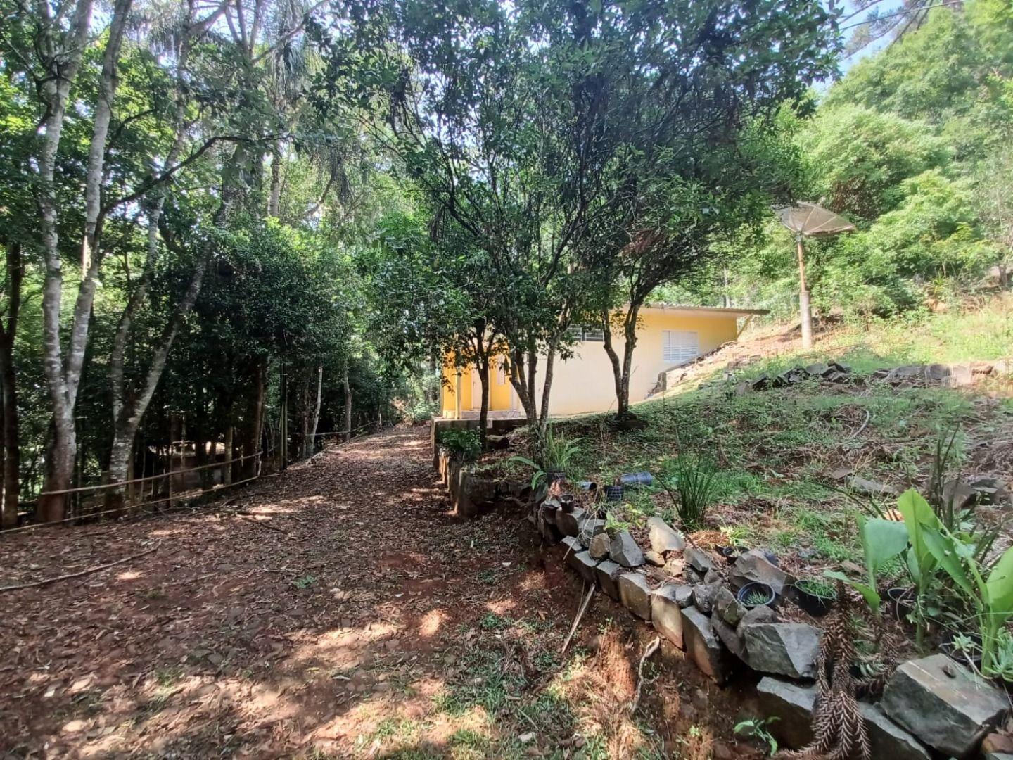 Fazenda à venda, 39000m² - Foto 10