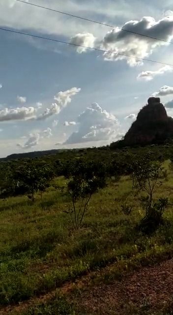 Fazenda à venda com 1 quarto, 17800000M2 - Foto 6