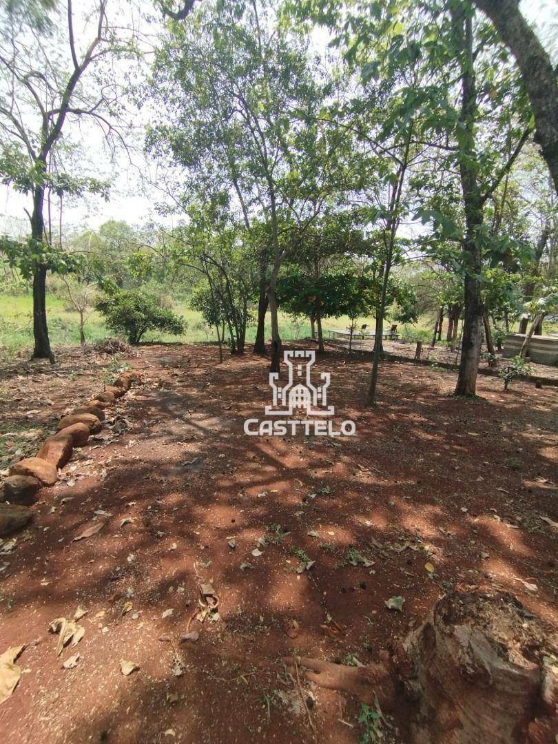 Chácara à venda com 2 quartos, 1070M2 - Foto 17