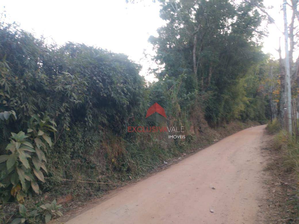 Chácara à venda com 1 quarto, 50m² - Foto 2
