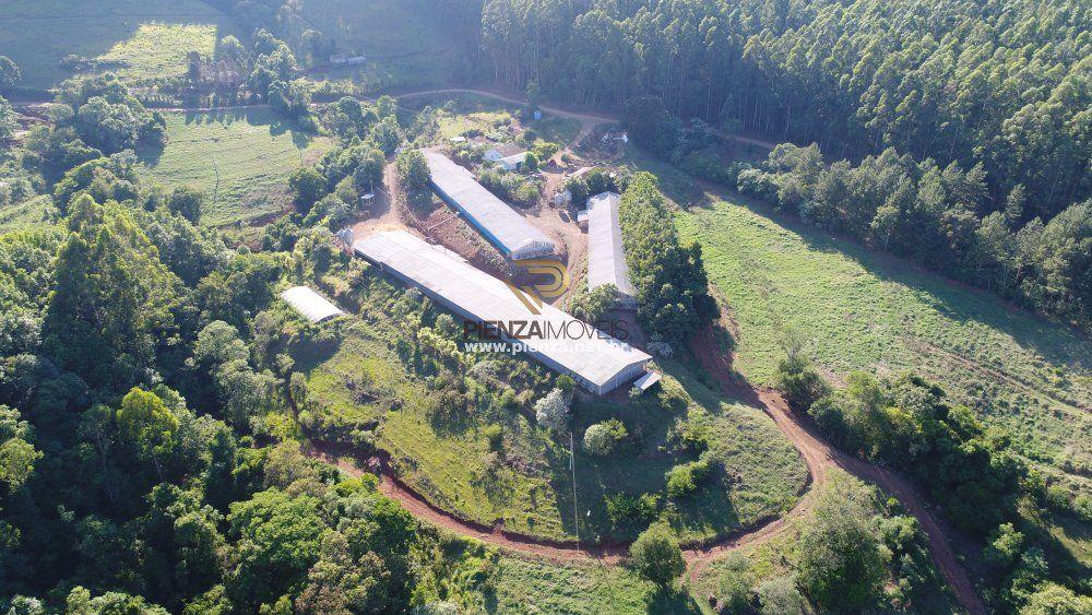 Fazenda à venda, 160000m² - Foto 4