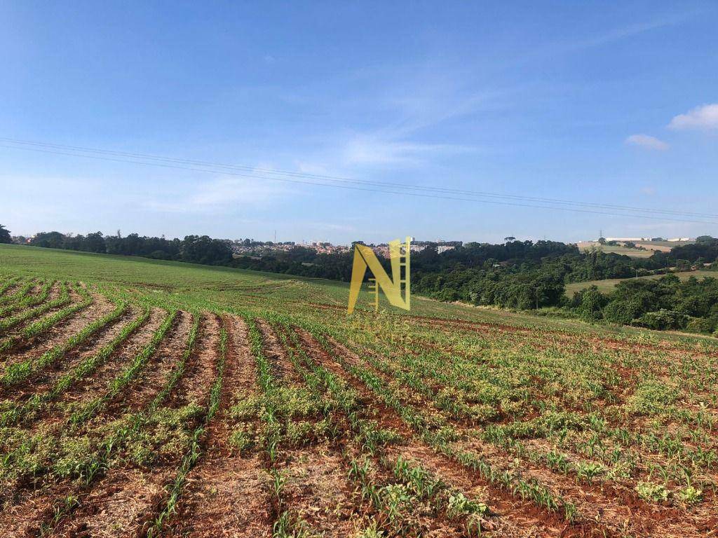 Terreno à venda, 532400M2 - Foto 6