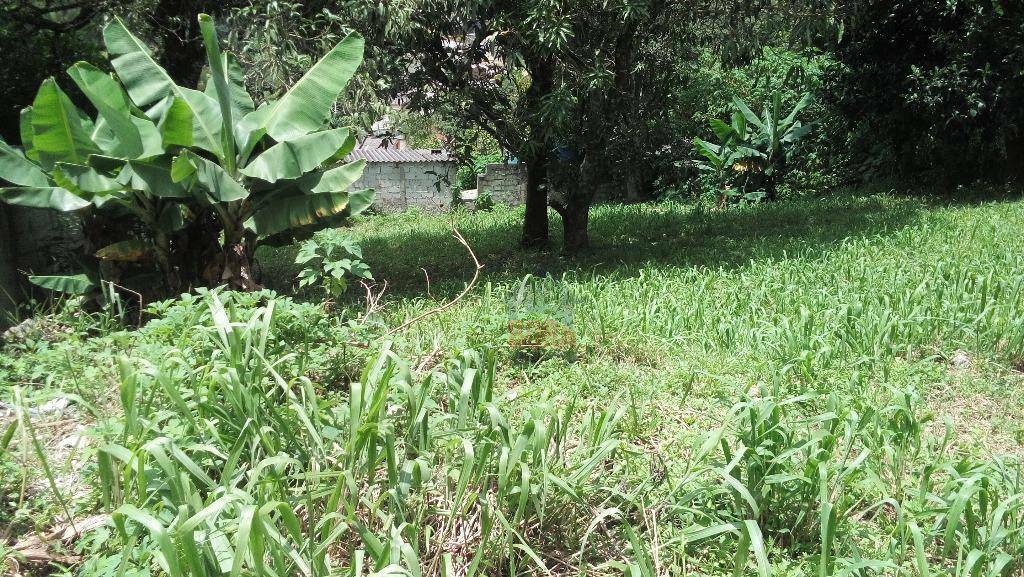 Terreno à venda, 1000M2 - Foto 4