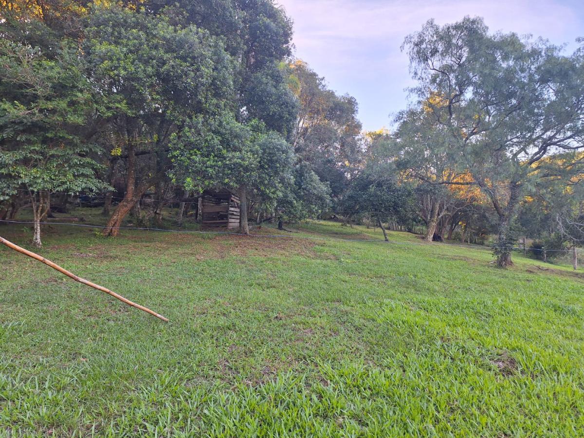 Fazenda à venda com 3 quartos, 6350m² - Foto 11