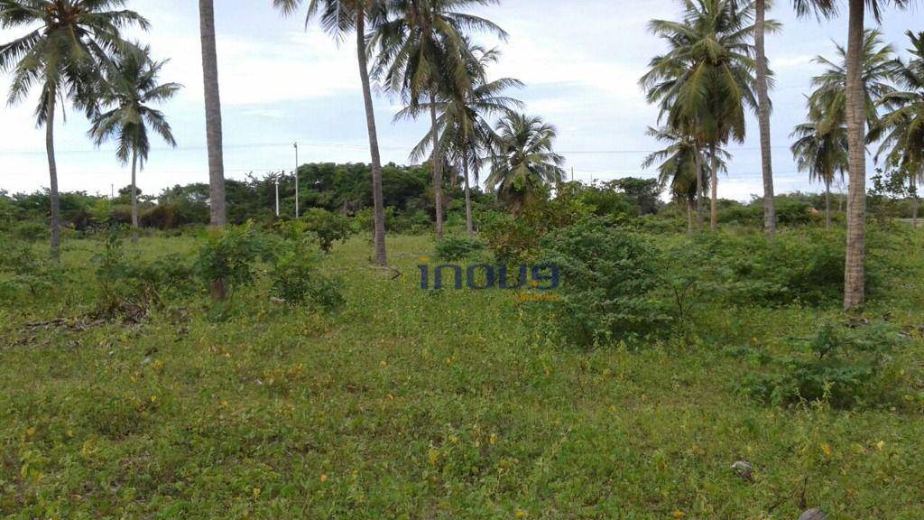 Terreno, 24 m² - Foto 14