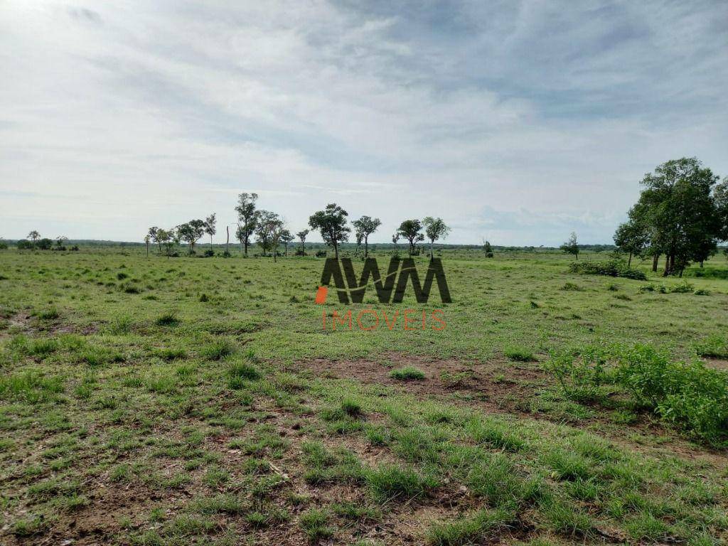 Fazenda-Sítio-Chácara, 765 hectares - Foto 3