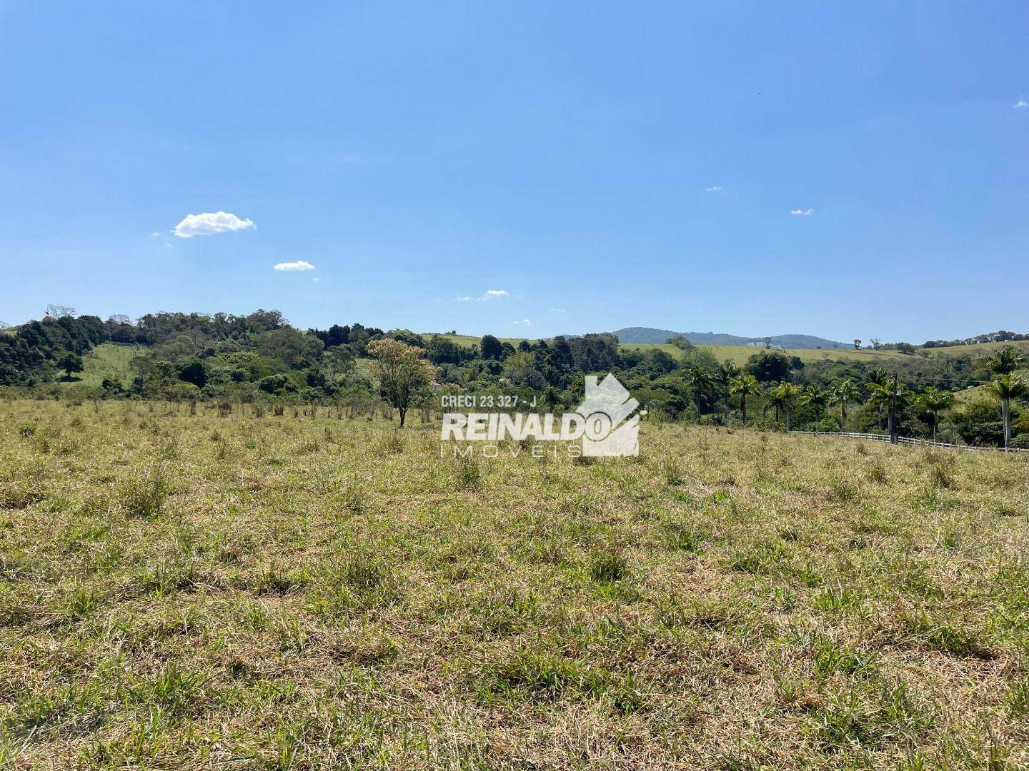 Haras e Área Rural Padrão à venda com 16 quartos, 2500m² - Foto 8