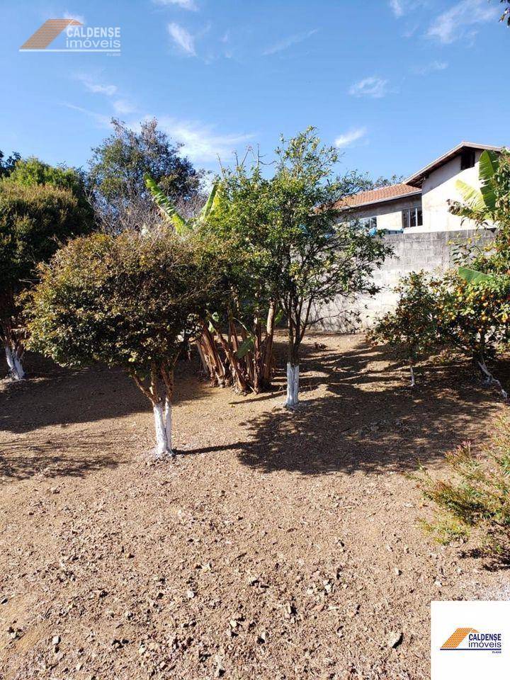 Chácara, 2 quartos, 1200 m² - Foto 5