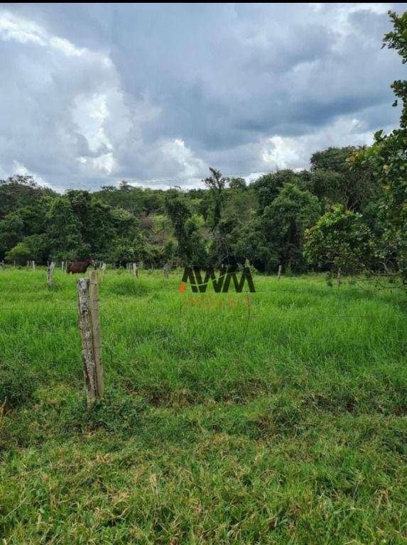 Fazenda à venda, 968000M2 - Foto 6