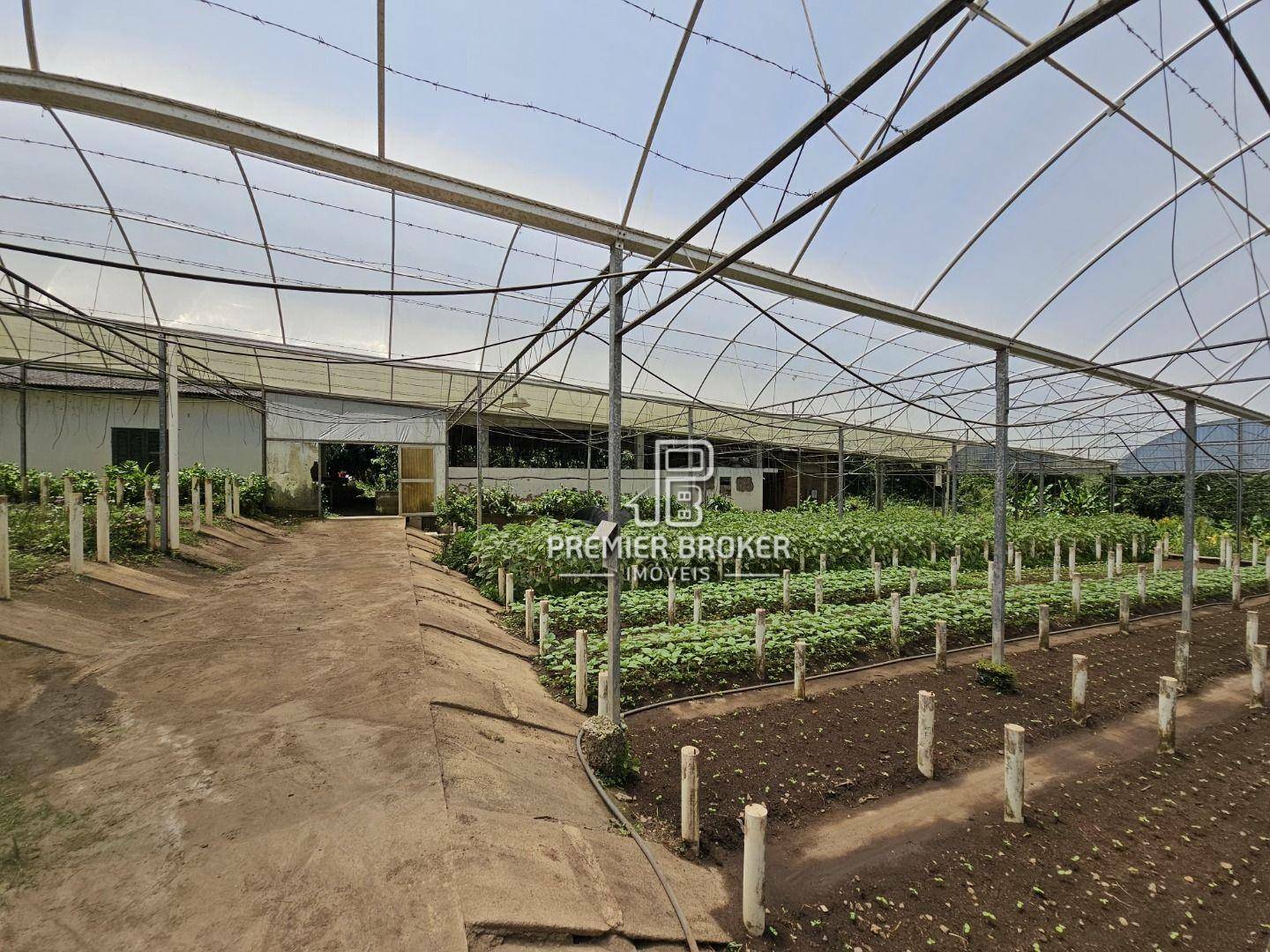 Sítio à venda com 5 quartos, 2500m² - Foto 9