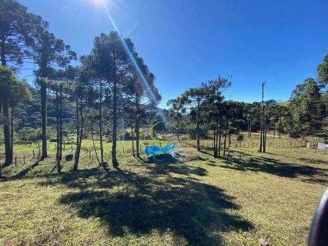 Terreno à venda, 46000M2 - Foto 1