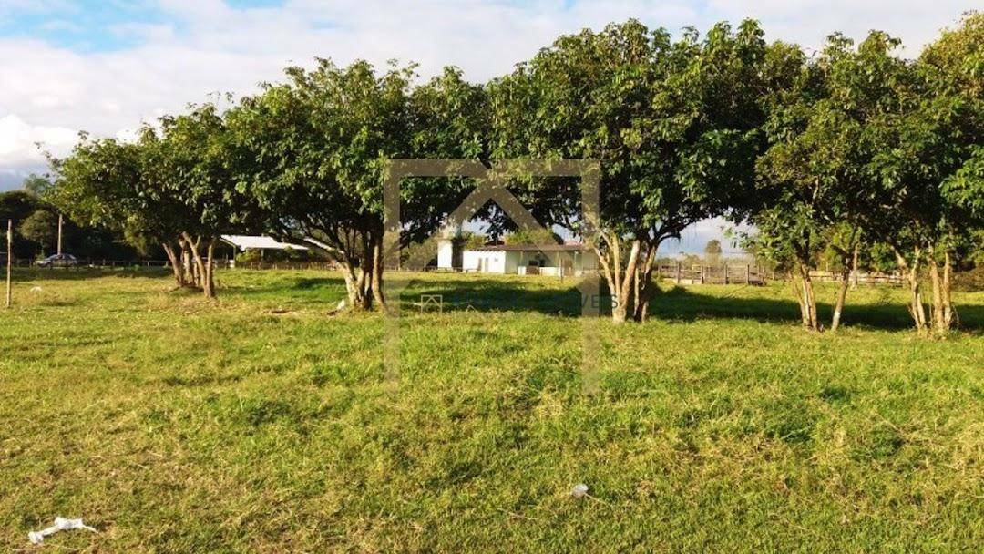 Haras e Área Rural Padrão à venda com 3 quartos, 3M2 - Foto 4