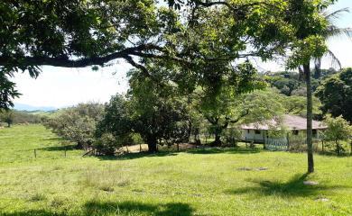 Fazenda à venda com 2 quartos, 210000m² - Foto 1