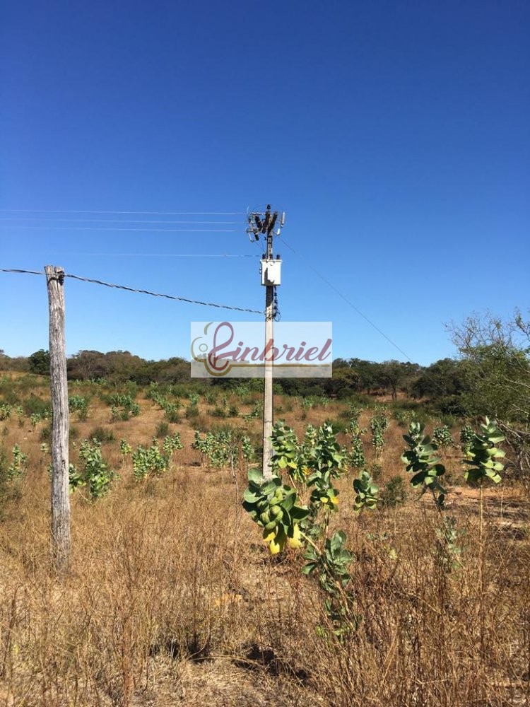 Fazenda à venda, 4600m² - Foto 6