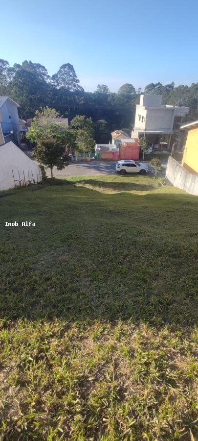 Terreno à venda, 250m² - Foto 1