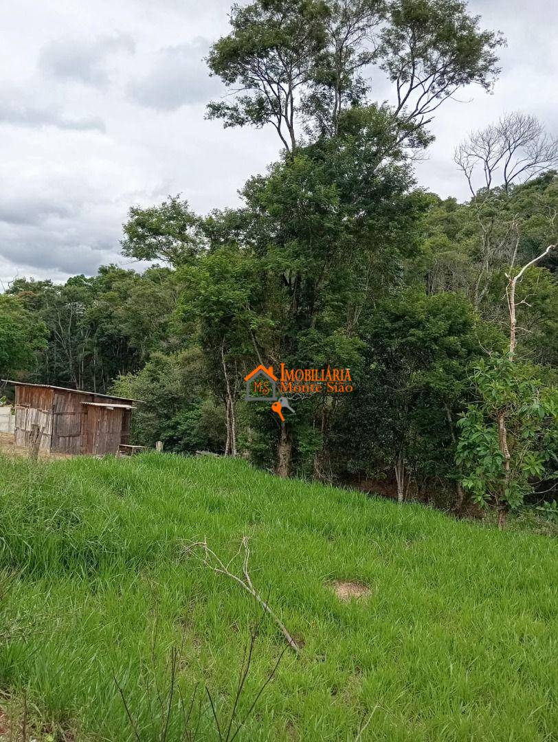 Terreno, 5000 m² - Foto 3