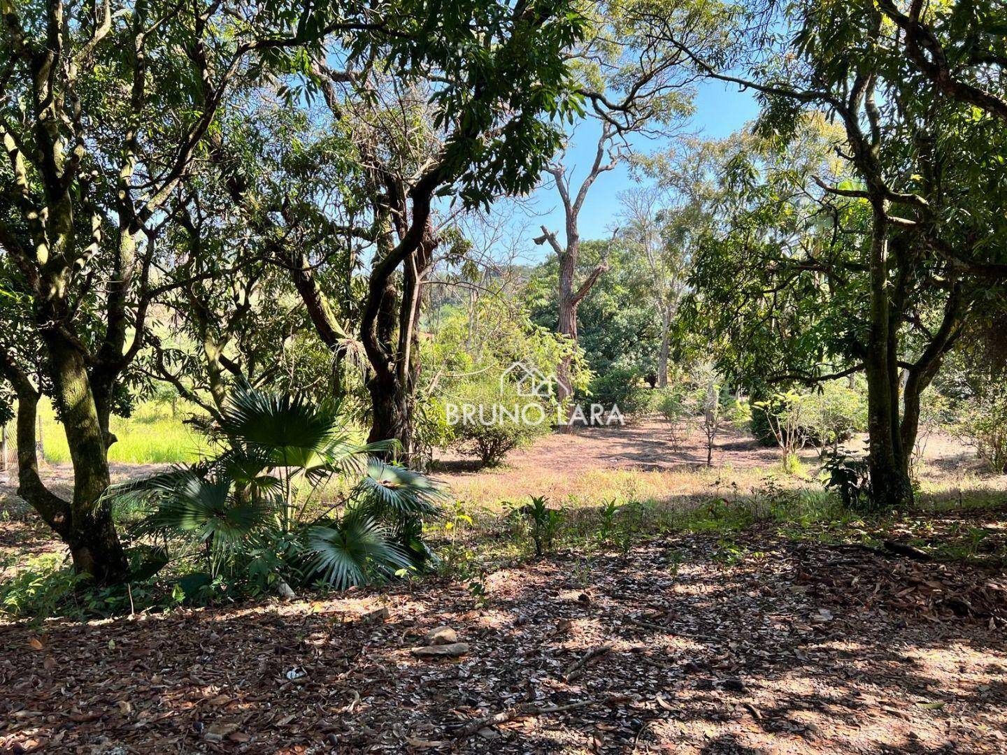 Fazenda à venda com 6 quartos, 1200m² - Foto 23