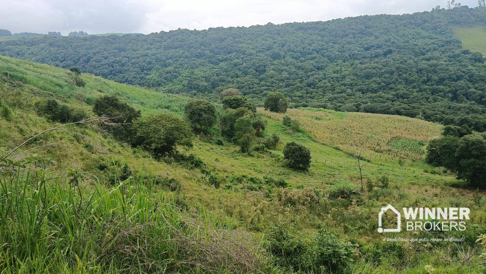 Sítio, 4 quartos, 34 hectares - Foto 16