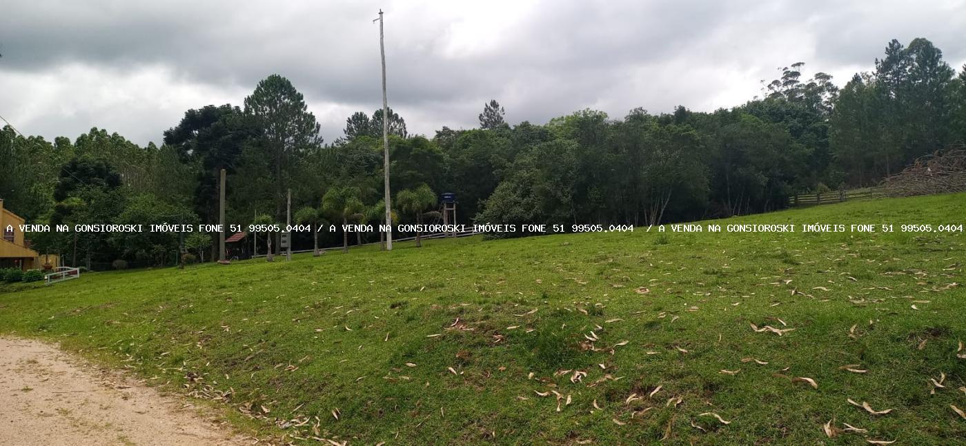 Fazenda à venda com 4 quartos, 130000m² - Foto 36