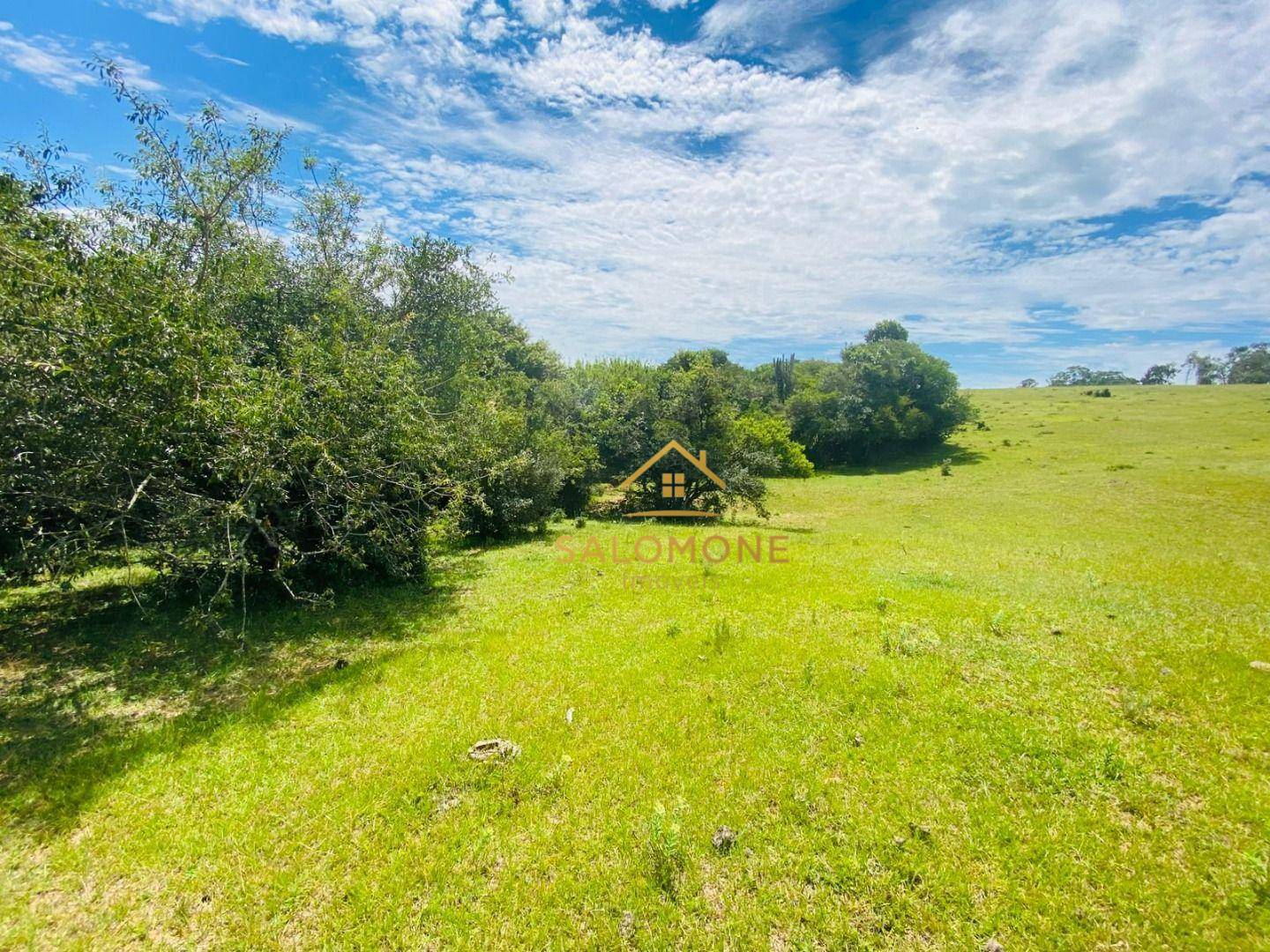 Terreno, 10 hectares - Foto 5