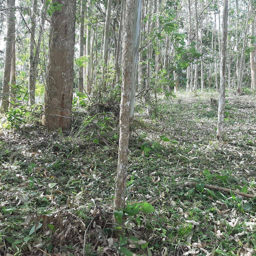 Loteamento e Condomínio à venda, 800M2 - Foto 9