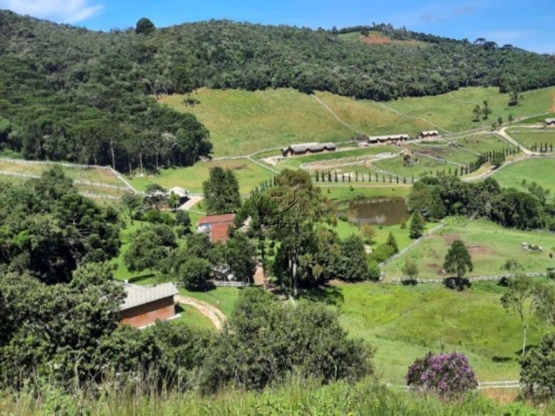 Fazenda à venda com 6 quartos, 1000m² - Foto 26